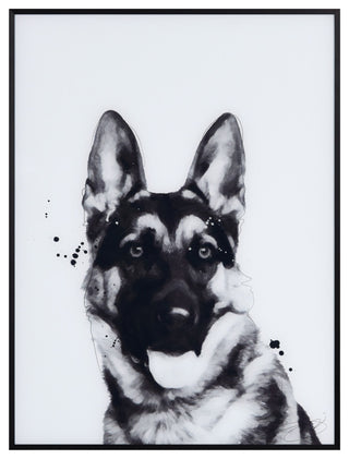 "German Shepherd" Black and White Pet Art on Printed Glass with Anodized Frame