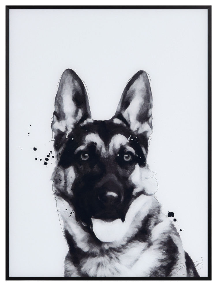 "German Shepherd" Black and White Pet Art on Printed Glass with Anodized Frame
