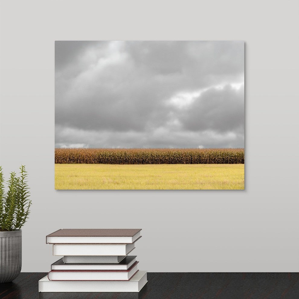 "Row of Corn" Wrapped Canvas Art Print, 14"x11"x1.5"