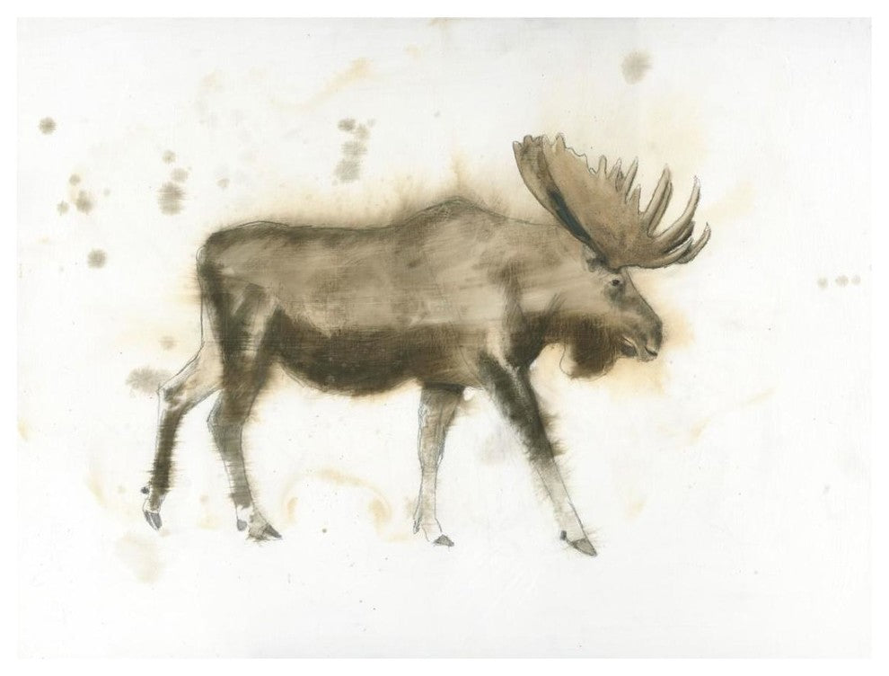 "Moose" Digital Paper Print by James Wiens, 18"x14"