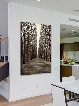 "Tree Alley" Painting Print on Wrapped Canvas