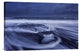 "Ice Skull" Stretched Canvas Giclee by Luigi Ruoppolo, 24"x16"