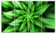 Exotic Green Flower Petals, Floral Canvas Art Print, 48"x28", 4 Panels