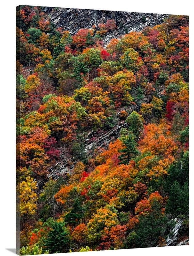"Fall Strata" Wrapped Canvas Art Print, 18"x24"x1.5"