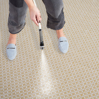 Safavieh Terrace Collection TER804 Rug, Beige/Ivory, 8'x10'