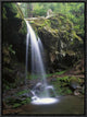 Grotto Falls and Roaring Fork Motor Nature Trail, Great Smoky Mountains, 12"x16"