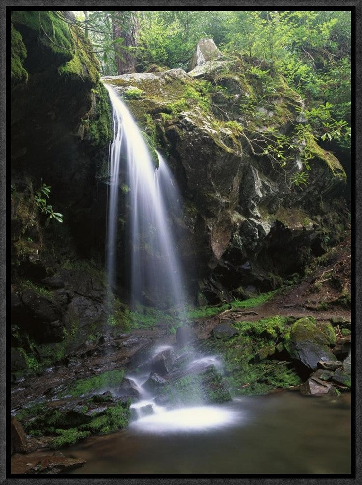 Grotto Falls and Roaring Fork Motor Nature Trail, Great Smoky Mountains, 12"x16"
