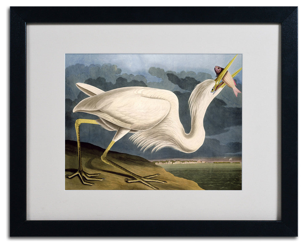 'Great White Heron' Matted Framed Canvas Art by John James Audubon