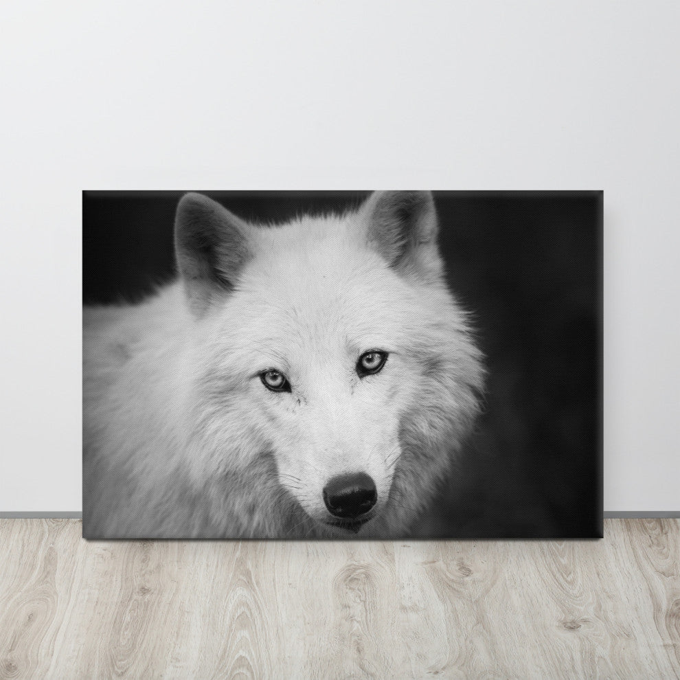 Black and White Portrait of White Wolf Wildlife Photograph Canvas Wall Art Print, 24" X 36"