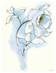 "Carols Roses III Blue" Digital Paper Print by Shirley Novak, 18"x22"