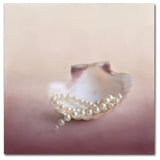 Jai Johnson 'Pearls On A Shell' Canvas Art, 18 x 18