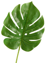 Split Leaf Philo, Set of 3, Small