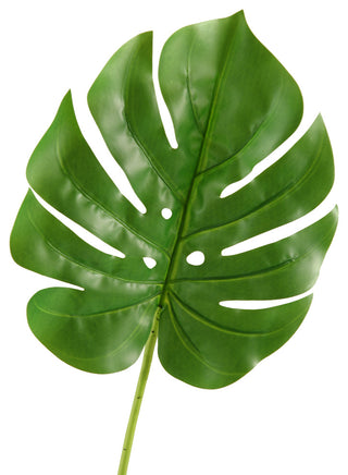 Split Leaf Philo, Set of 3, Small