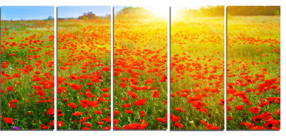 Beautiful Sunshine over Poppy Fields, Floral Canvas Art print, 60"x28", 5 Panels