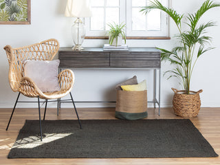 4'x6' Kerala Gray Jute Rug