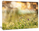 Little Summer Flowers in Meadow, Large Flower Canvas Wall Art, 40"x30"