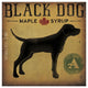 "Black Dog at Show No VT" Digital Paper Print by Ryan Fowler, 20"x20"