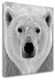 "Polar Bear" By Photoinc Studio, Giclee Print on Gallery Wrap Canvas