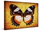 "Nature s Angel" Painting Print on Canvas by Robertson