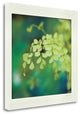 "Natures Fern II" By Sue Schlabach, Giclee Print on Gallery Wrap Canvas