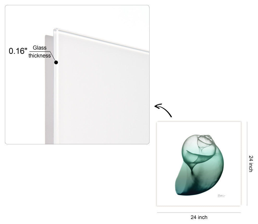 "Shimmering Snail I" Wall Art on Frameless Free Floating Tempered Glass Panel