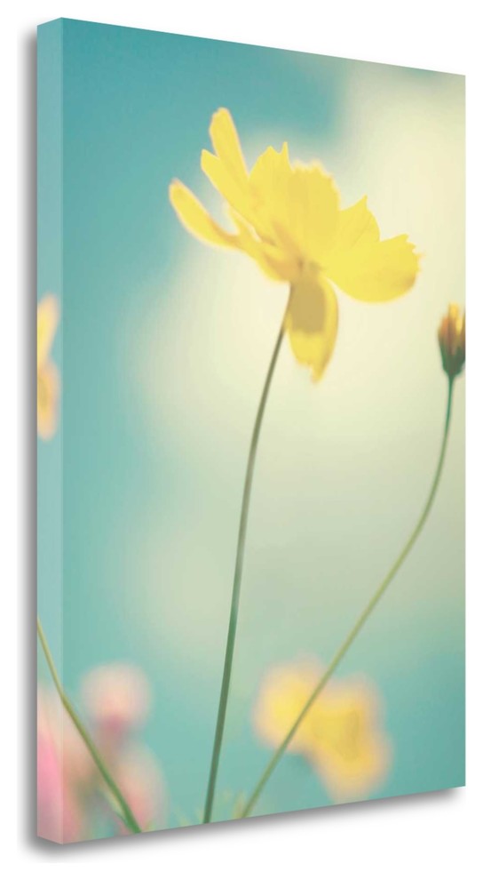"Summer Breeze" By Kim Fearheiley, Giclee Print on Gallery Wrap Canvas
