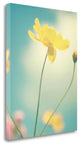 "Summer Breeze" By Kim Fearheiley, Giclee Print on Gallery Wrap Canvas