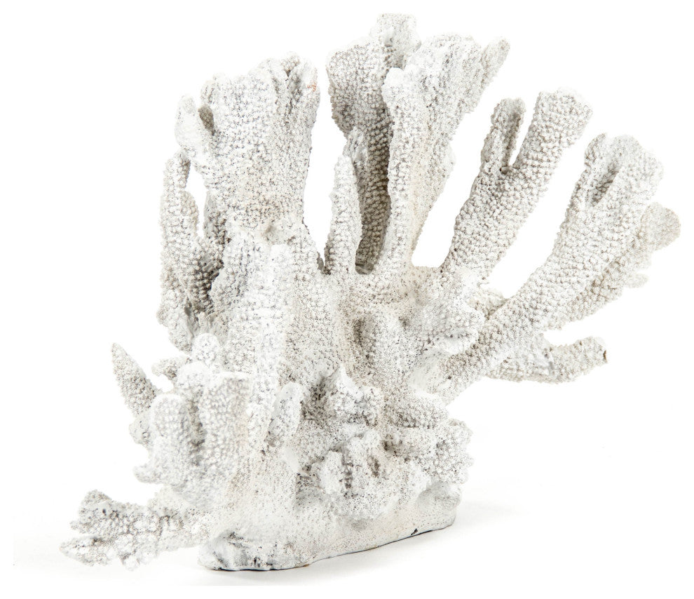 White Coral