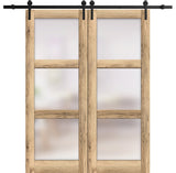 Double Barn Door 36 x 80 | Lucia 2552 Oak | 13FT