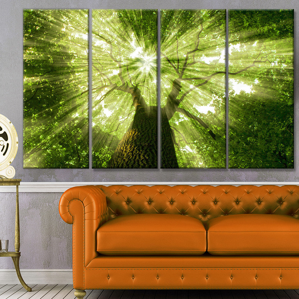 Sunlight Peeking through Green Tree, Landscape Canvas Print, 48"x28", 4 Panels