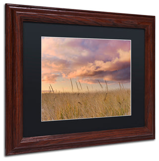 Blanchette Photography 'Beachgrass Sunrise', Wood Frame, Black Matte, 14"x11"