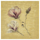 "Magnolia Blossom on Gold" Digital Paper Print by Cheri Blum, 26"x26"