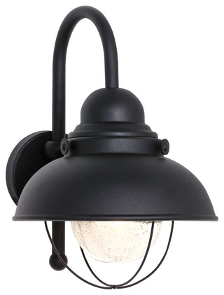 Generation Lighting Lighting 1-Light Outdoor Lantern, Black