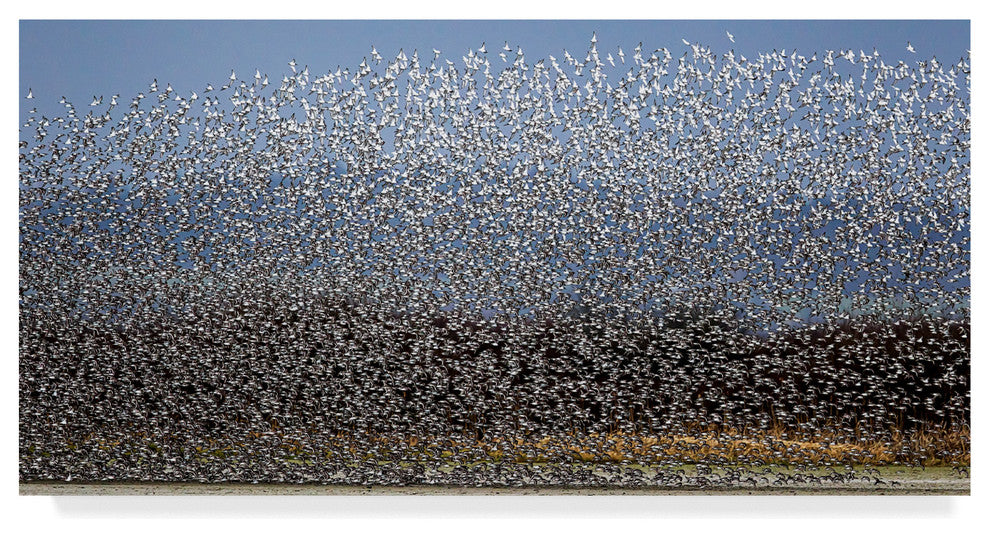 Katsu Uota 'Bird Curtain' Canvas Art, 24"x12"