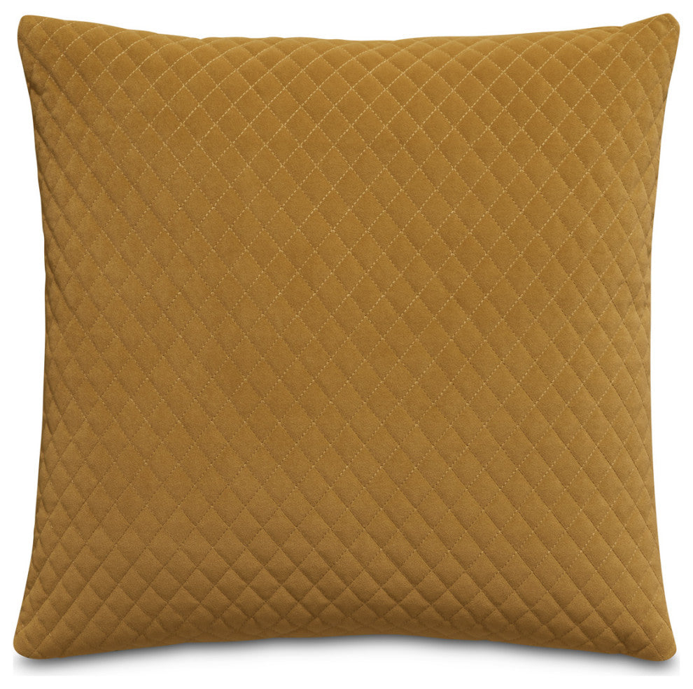 Gemma 21" Velvet Throw Pillow, Set of 2, Coin