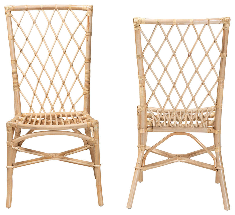 Doria Modern Bohemian Natural Brown Rattan 2-Piece Dining Chair Set