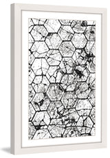"Honeycombs" Framed Art Print