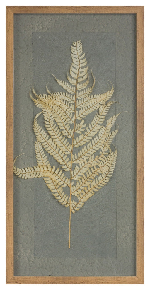 Dried Fern Frame, Set of 2