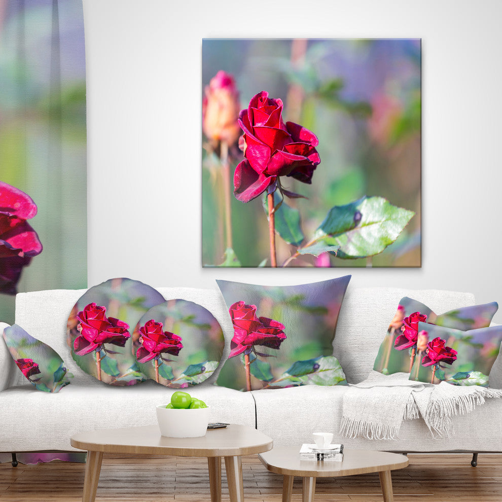 Red Rose On Blurred Background Flower Throw Pillow, 16"x16"