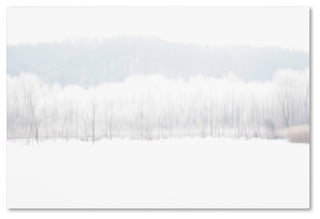 'Abstract Winter Beaver Marsh' Canvas Art by Kurt Shaffer