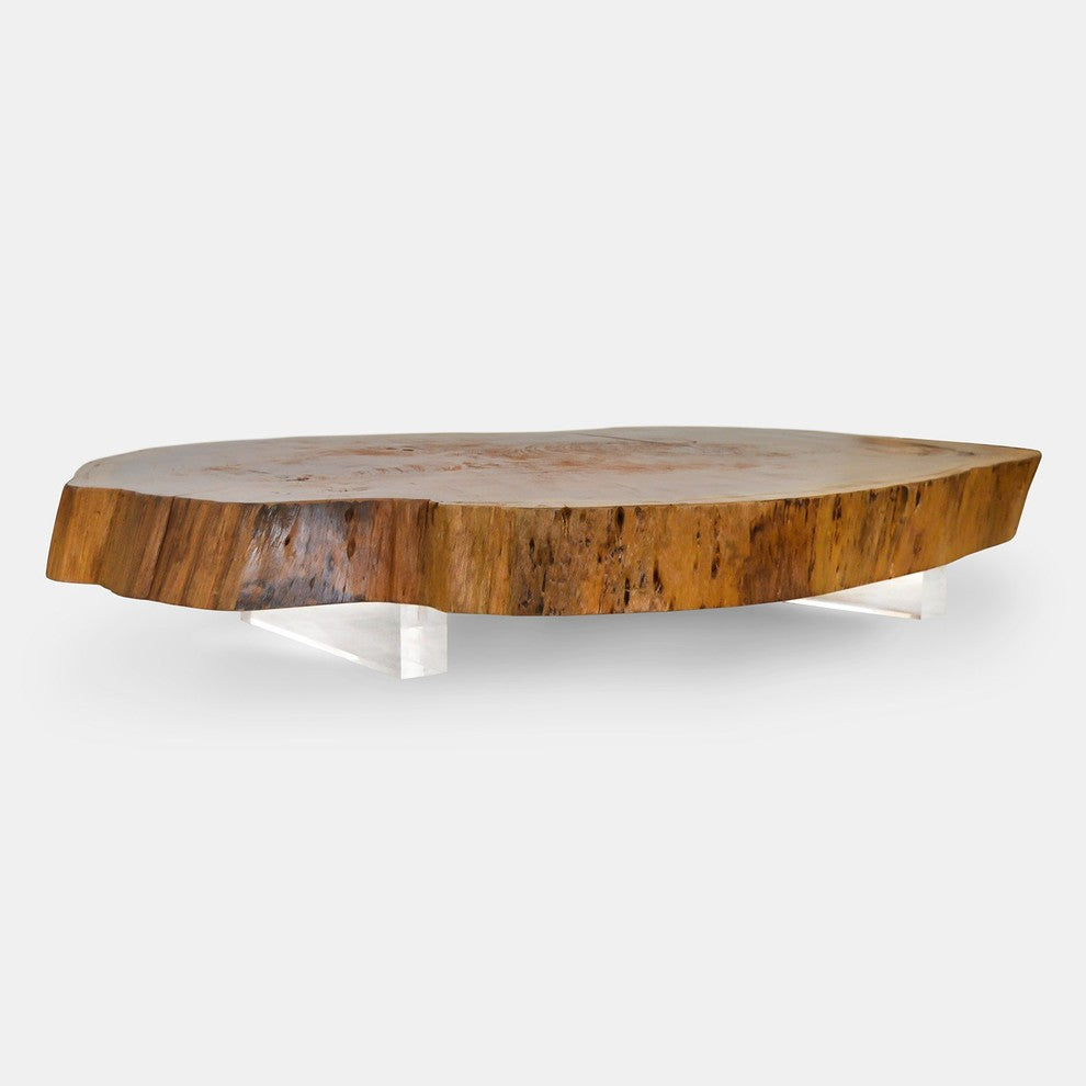 Vinhatico Crosscut Wood Coffee Table