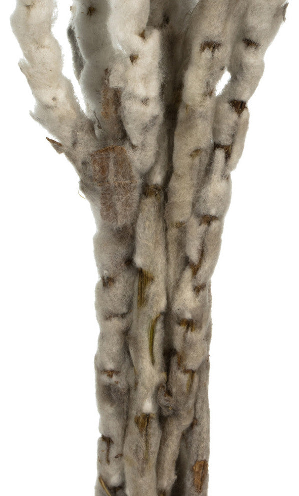 Vickerman Natural Everlasting Flowers, Dried, Natural White, 13-14"