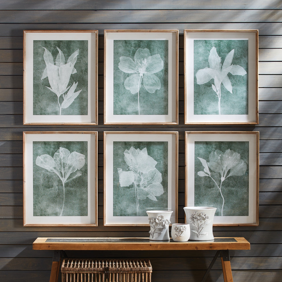 Elegant Set of 6 Translucent White Floral Prints Gray Green White Contemporary