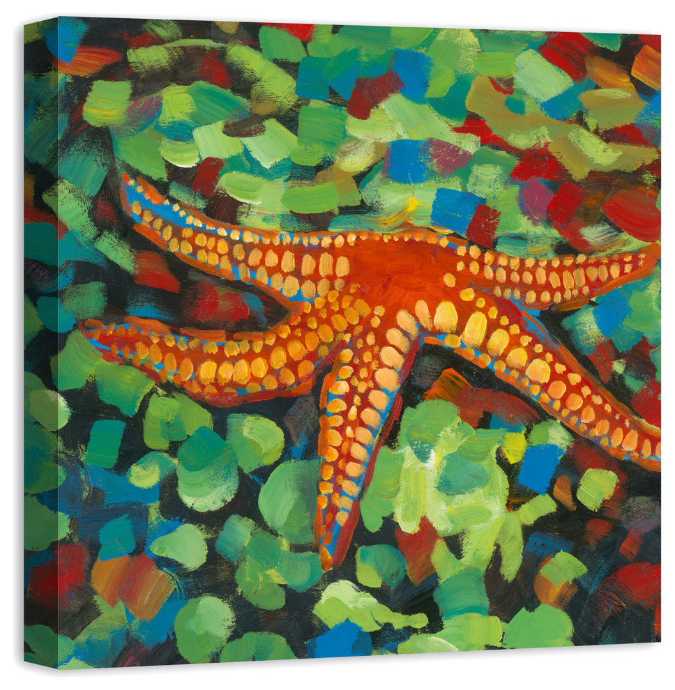 Painted Starfish on Seaglass 24x24 Canvas Wall Art