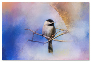 Jai Johnson 'Winter Morning Chickadee' Canvas Art, 32 x 22