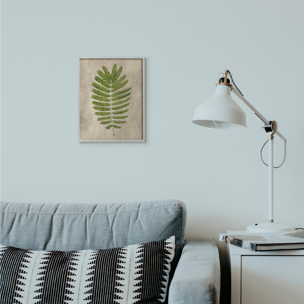 Plant Drawing Parchment Green Design, 11"x14", Gray Frame