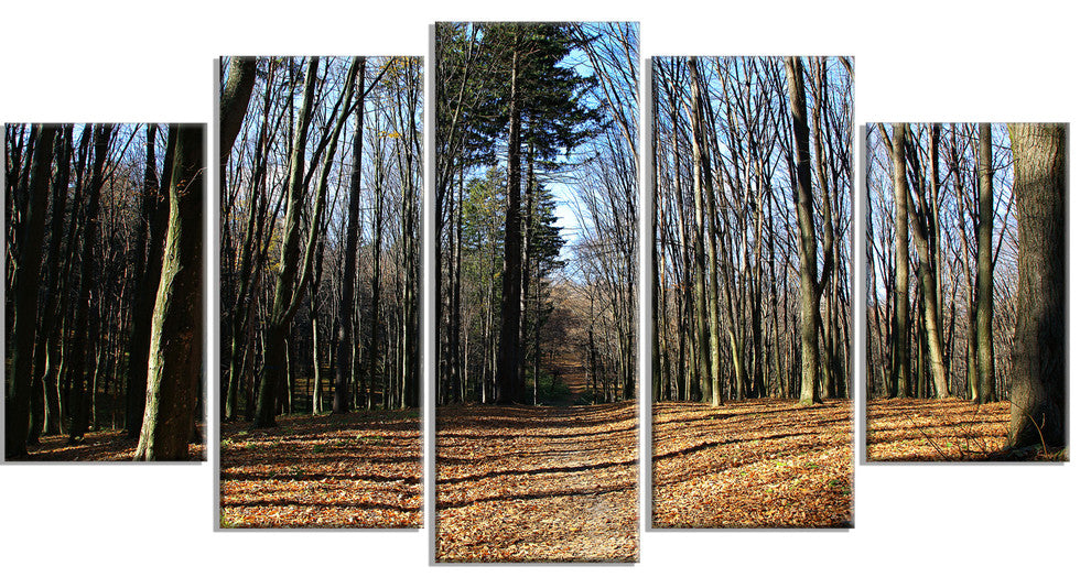 Fall Forest in Sunlight and Shadows, Modern Forest Canvas Art, 60"x32", 5 Panels