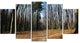 Fall Forest in Sunlight and Shadows, Modern Forest Canvas Art, 60"x32", 5 Panels