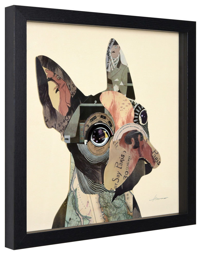 Bulldogs Close Up Dimensional Collage Wall Art Framed Under Glass