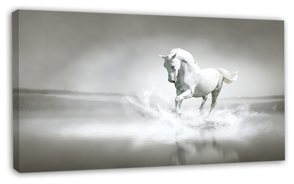 White Horse Running in Water, Animal Canvas Art Print, 32"x16"